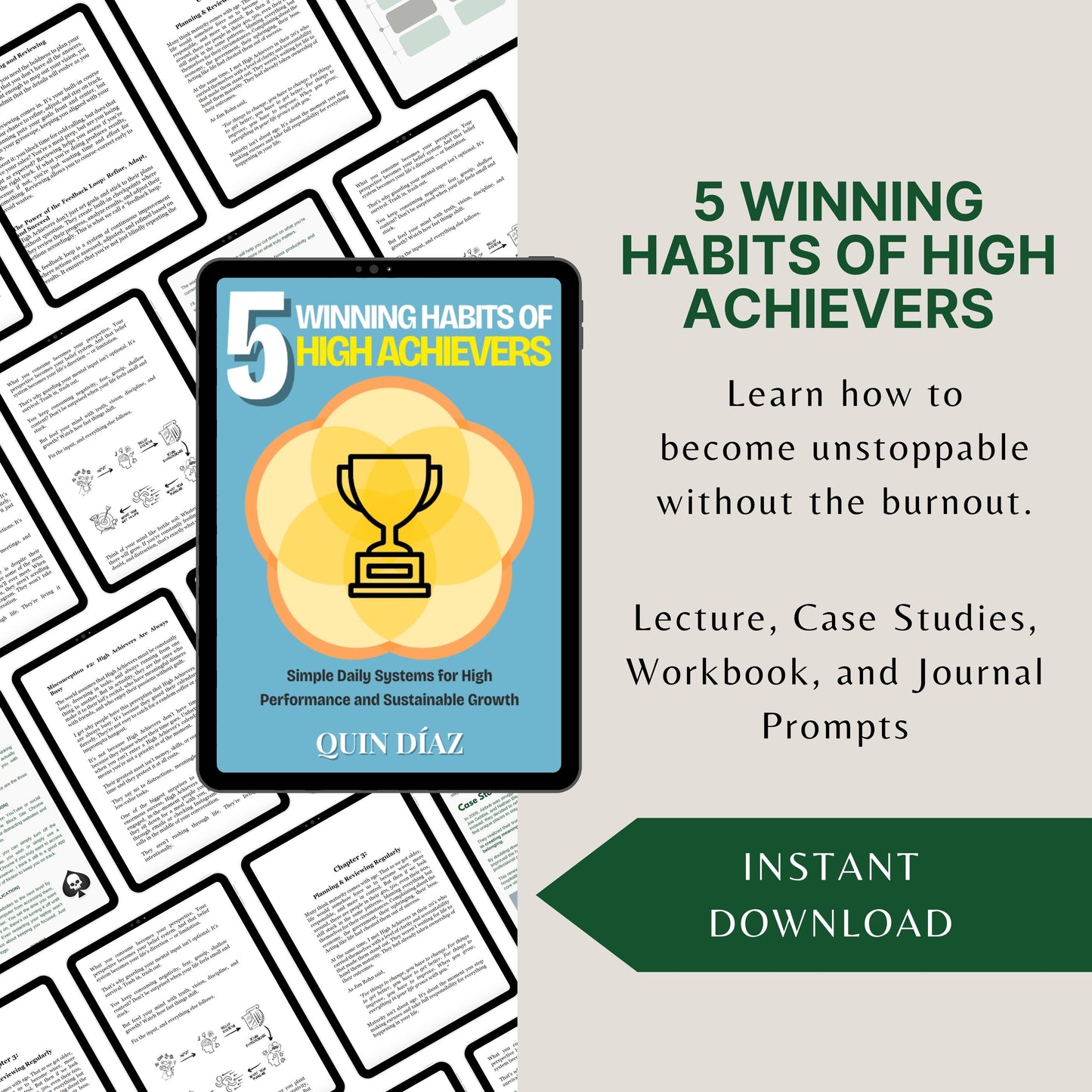5 Winning Habits of High Achievers (Ebook Format)